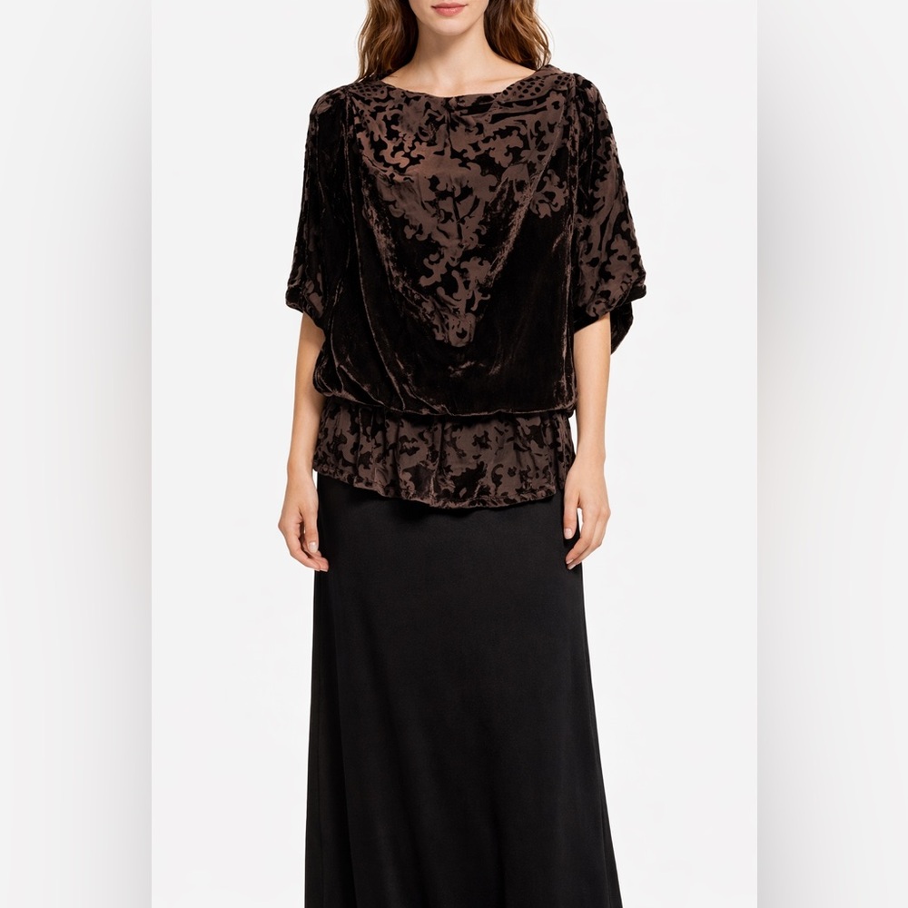 Linea Domani semi-sheer velour blouse size small